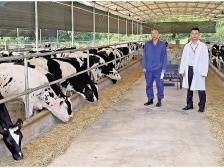 新兴农商银行：金融活水润泽“三农”沃土