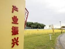 代表通道 | 孔宪文：产业发展是推进城乡融合和区域协调发展的基础