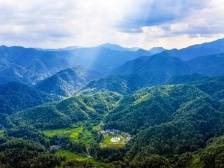 代表通道 | 束祖飞：打造车八岭绿色共富“金名片”