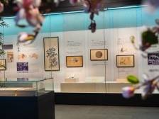 展讯｜百位东莞名人“齐聚”东莞展览馆，原来是为了……