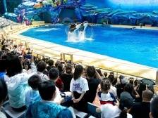 最受欢迎地！2023年广东接待游客数、旅游总收入均全国第一