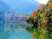 ​韶关市市长陈志清：发展森林康养产业，以文旅康养产业带动城市发展