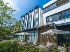 春节不打烊！来花都民宿，体验不一样的年味