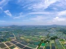 代表通道 | 钟国泰：这一年，村里有了大变化