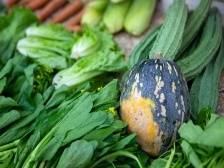 委员通道｜欧阳建忠：打通优质农产品出村进城“最初一公里”