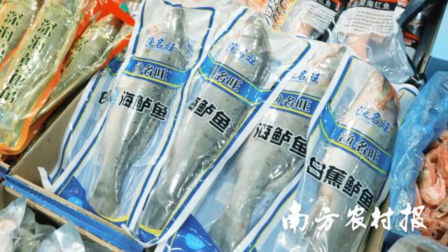 珠海白蕉海鲈鱼等水产品是哈尔滨市民年货必备选择。