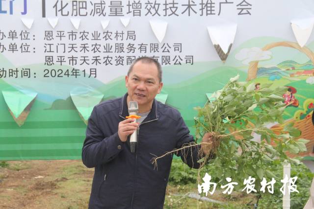 寒风中，华南农业大学资源环境学院副教授邓兰生生动形象地剖析植物营养机理。
