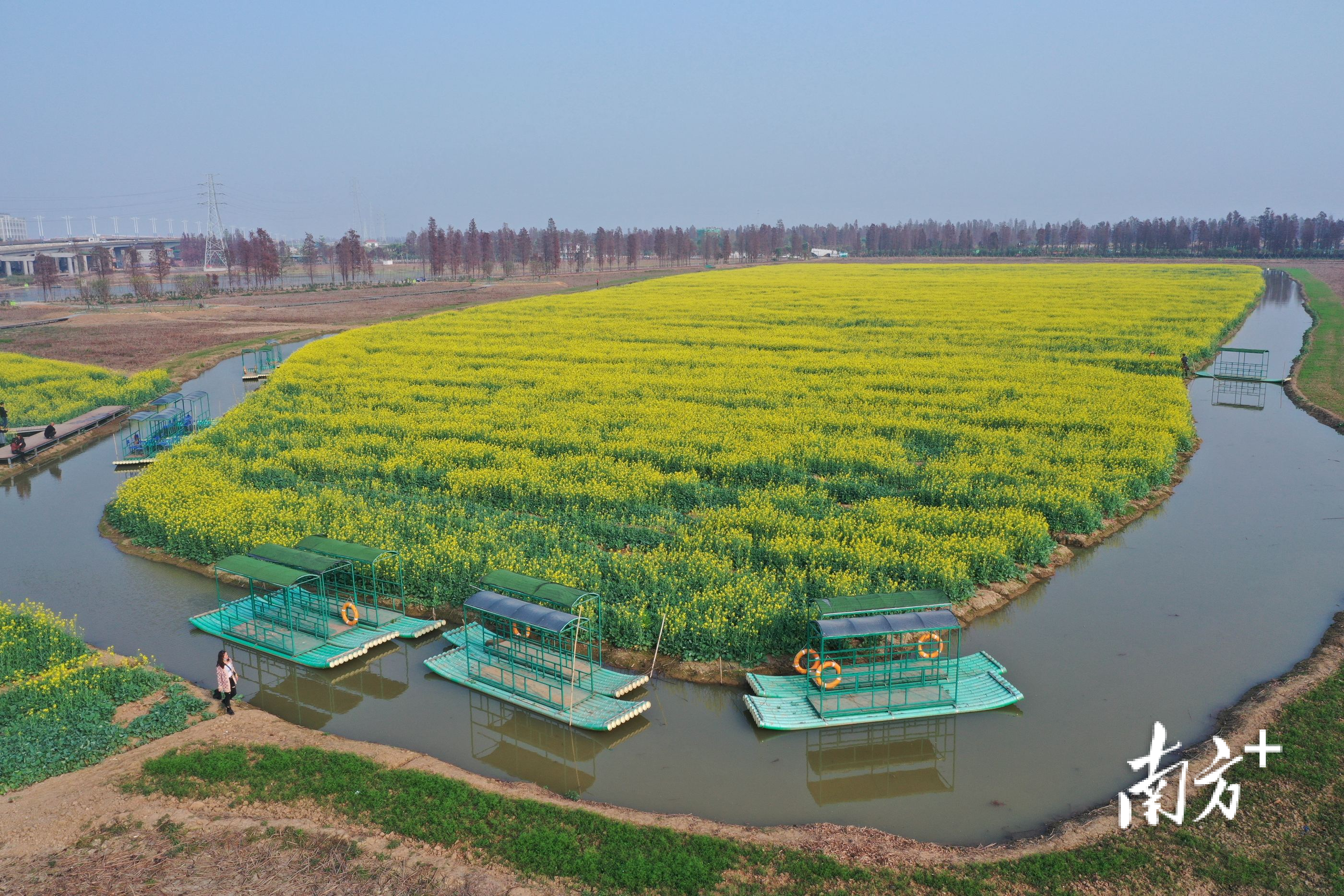 都市农业生态公园四季花海和彩色稻田景色壮观。
