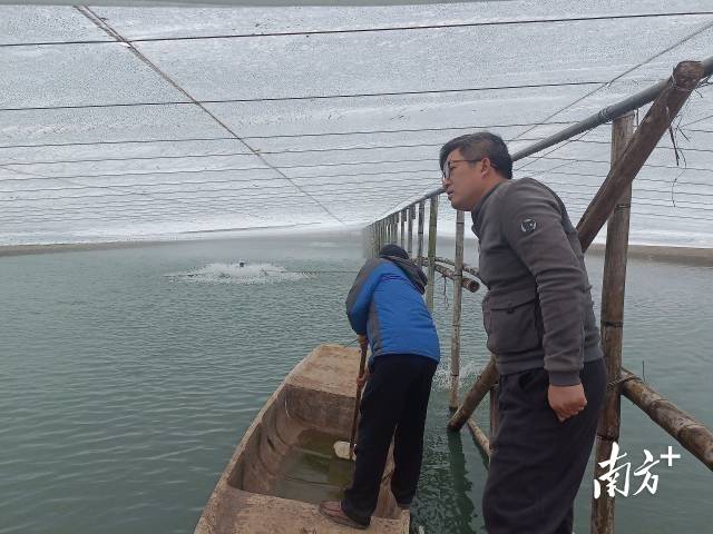 南方農(nóng)村報 李嘉鎵 制圖
