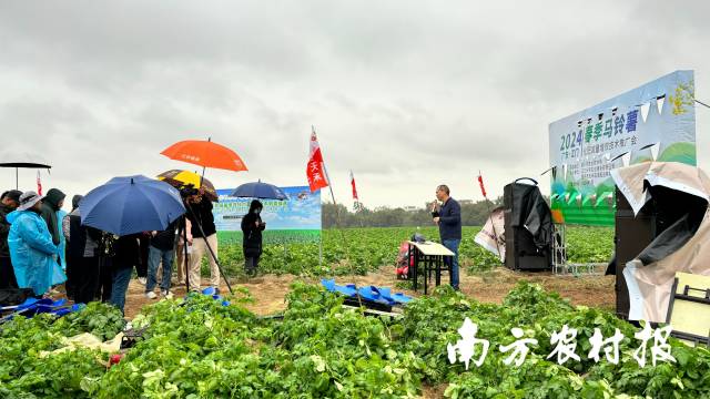 培训现场，一台直播设备将培训过程传送至网络，不少种植户纷纷在线上留言互动。