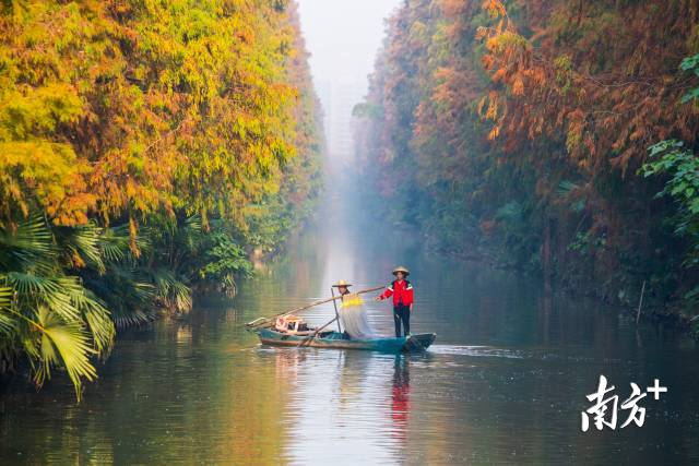 初冬礼乐河。 付师华 摄