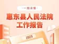 一图读懂惠东法院“公正与效率”成绩单