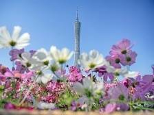 省十四届人大二次会议共收到代表建议1042件，财经类、教科文卫类、农村农业类占比较高