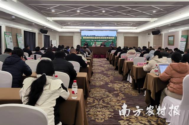 全省蔬菜果树病虫害绿色防控技术培训班现场 全省蔬菜果树病虫害绿色防控技术培训班现场