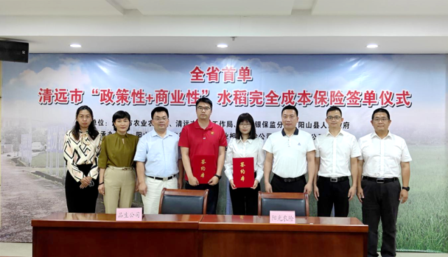 为清远市丝苗米百亿产业提供金融力量和保驾护航