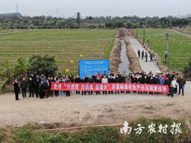 全省蔬菜果树病虫害绿色防控技术培训班合影