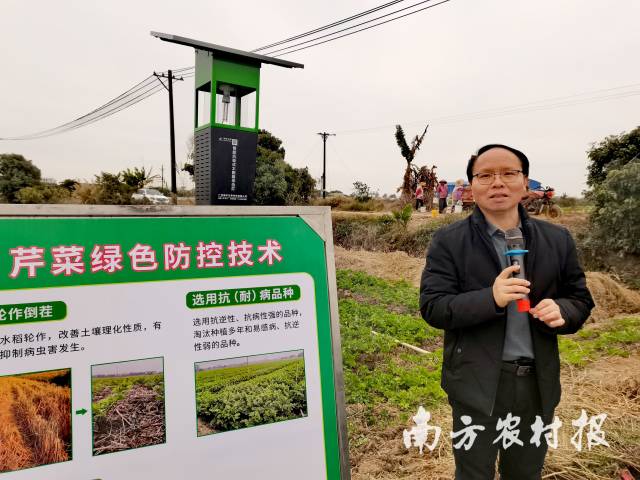 华南农业大学植物保护学院习教授介绍芹菜绿色防控技术