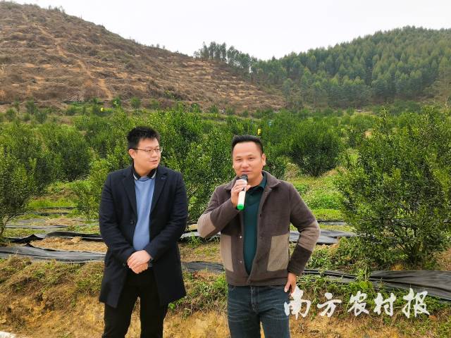 教学现场邀请果园技术负责人分享绿色防控措施 教学现场邀请果园技术负责人分享绿色防控措施