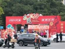 多图｜抢先“探市”！东莞花市陆续开启，可以一键找寻