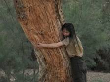 山居修行半年，我学会了“抱树”｜我的健康故事