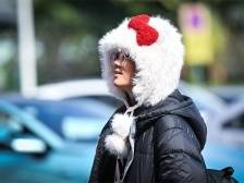 春运天气“路透”来了！东莞主要有4次冷空气过程