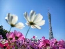 广东省第十四届人民代表大会第二次会议关于广东省人民代表大会常务委员会工作报告的决议