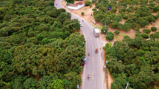 茂名是世界最大的荔枝生产基地。