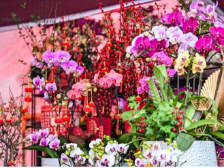 英歌舞+麒麟舞！在深圳·星河双子塔首届迎春花市寻年味