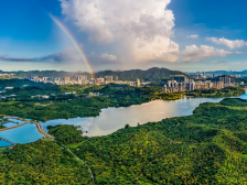 南山区水务局局长张景平：打造更高水平的绿美南山