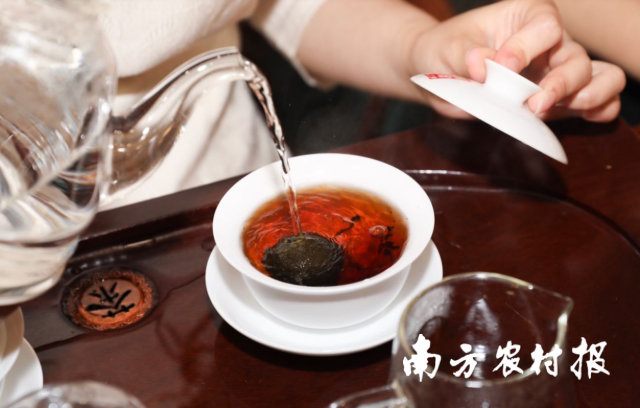 新会柑茶,柑香茶醇。 新会柑茶,柑香茶醇。