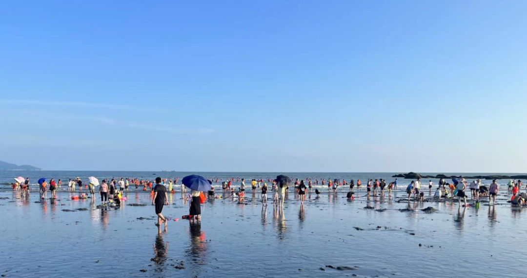 浪琴湾。 浪琴湾。