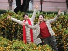 水乡迎春花市年味浓，超全攻略来了