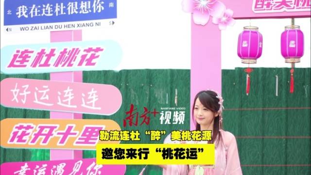 视频｜勒流连杜“醉”美桃花源，邀您来行“桃花运”！