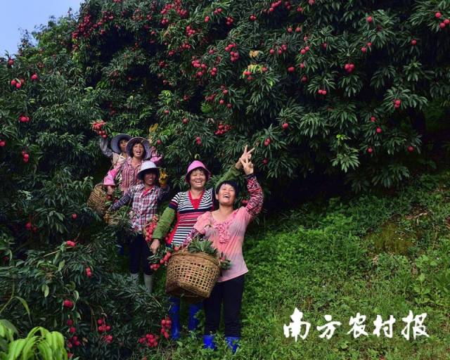 兴农评丨农村“养女防老”成趋势，“传男不传女”也该变了