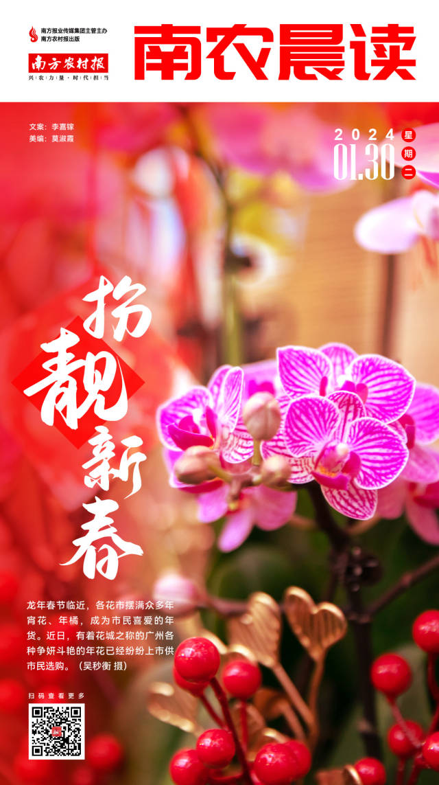 支付宝新春送红包渐变味 借福卡活动操作繁琐遭吐槽