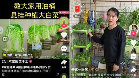 想办法拓展种植空间的人们。 想办法拓展种植空间的人们。