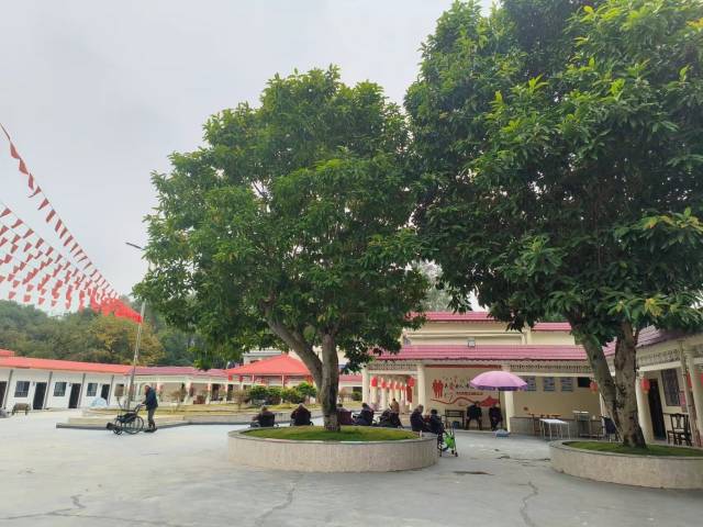 幸福里康养院区占地1万平方米，其中室外花园式活动场地超5000平方米，环境舒适。