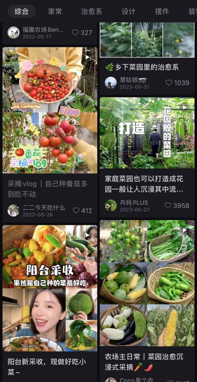 小红书上,人们纷纷晒出自家的菜园。 小红书上,人们纷纷晒出自家的菜园。