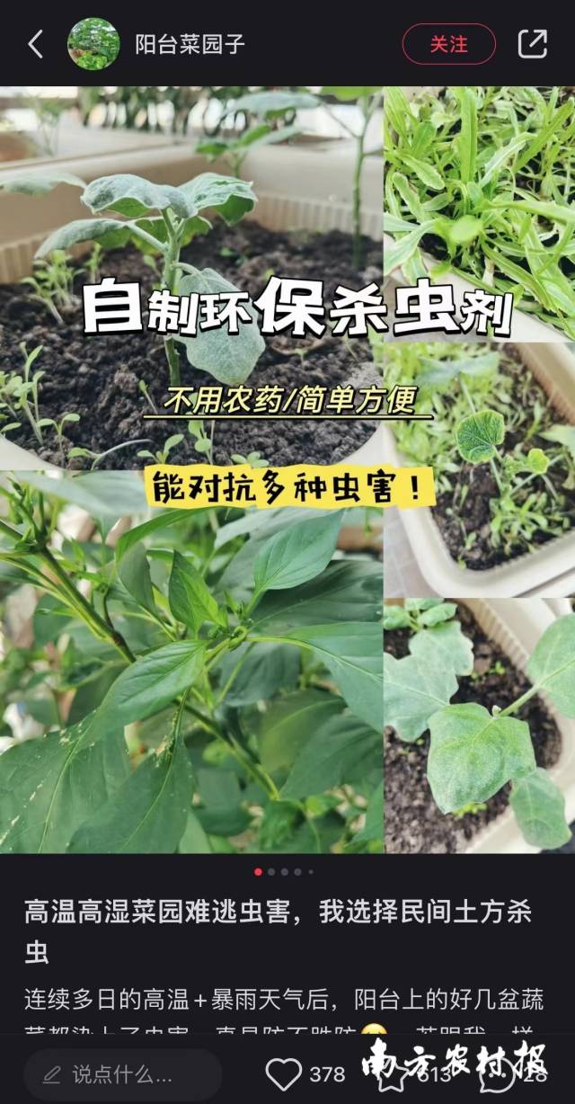 受访者供图 受访者供图