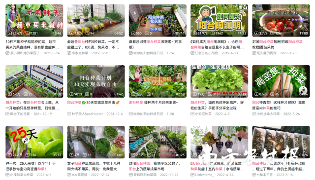 B站上，有很多关于阳台种菜的视频。