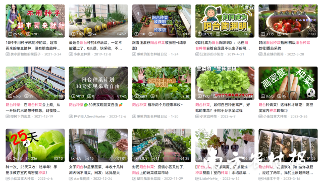 B站上,有很多关于阳台种菜的视频。 B站上,有很多关于阳台种菜的视频。