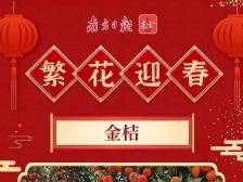 寻年味③ | 汕头“行花街”攻略来了~一张长图告诉你该选哪种年花