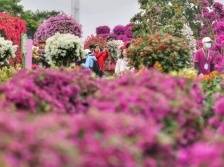 守护春节平安祥和，中山横栏镇加大执法巡查力度