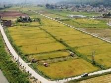 人民日报关注广东河源：建公司强村 兴产业富民