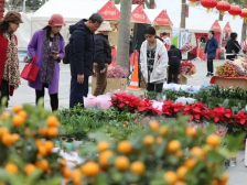 满满都是年味！这份珠海花市攻略，“行花街”必看