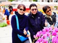 中山：迎春花市开进村，古村焕发新活力