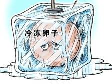 两会现场｜委员呼吁放开单身女性“冻卵”，或可提高生育率