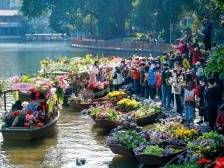 期待！双牌楼、慧食猫、非遗大戏…… 荔湾花市即将上新！