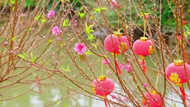 到江门过大年，来礼乐看繁花