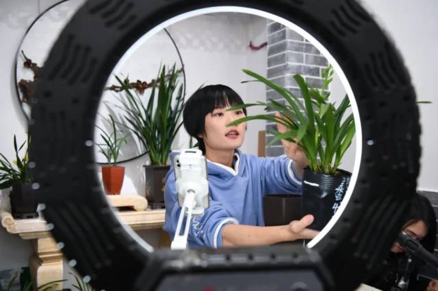 在广东韶关翁源县德芳兰园有限公司，网络主播在推介兰花。